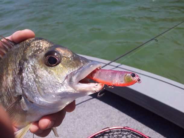 Kustomise your lures